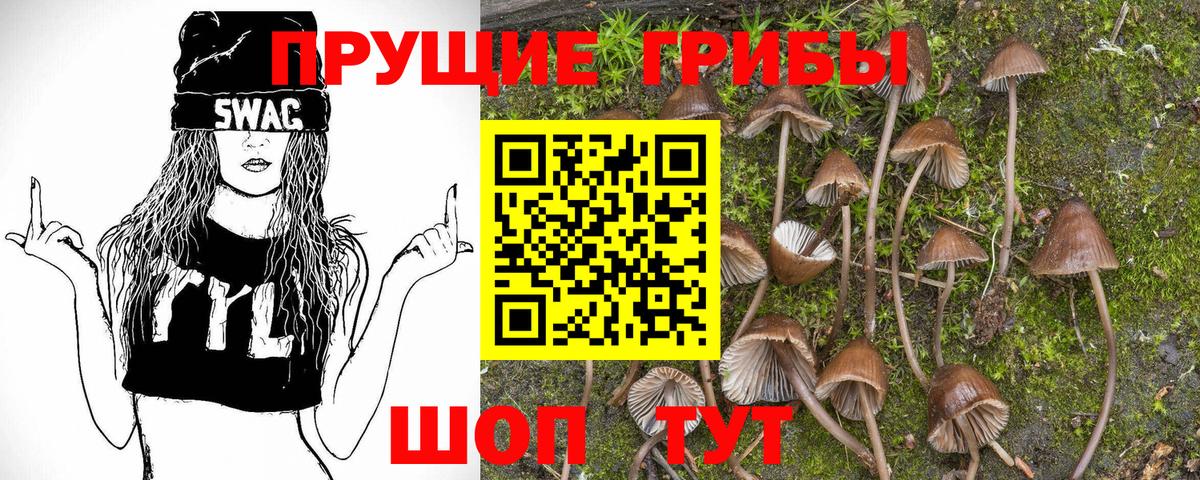 Псилоцибиновые грибы MAGIC MUSHROOMS  где купить   Вход с VPN  Тольятти  Галлюциногенные грибы MAGIC MUSHROOMS 